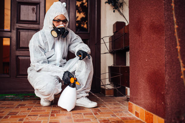 Reliable Rodent Control contractor in West Ocean City, MD by Nex Pest Control