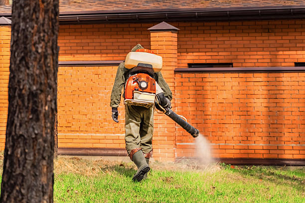 Trusted Cockroach Control service in West Ocean City, MD - Nex Pest Control